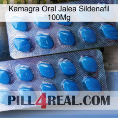 Kamagra Oral Jelly Sildenafil 100Mg viagra2